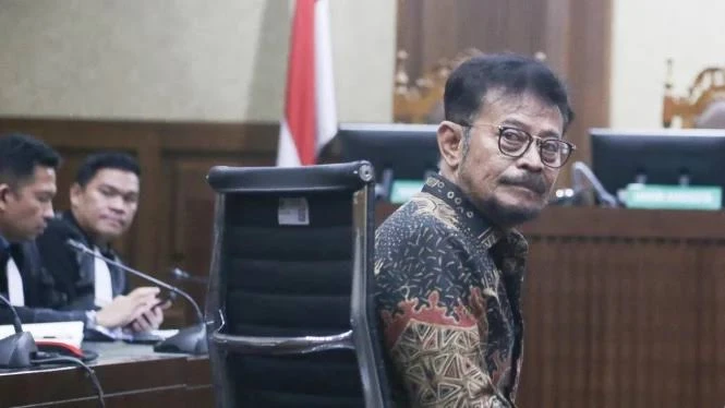 Syahrul Yasin Limpo Divonis 10 Tahun, Jaksa KPK Ajukan Banding