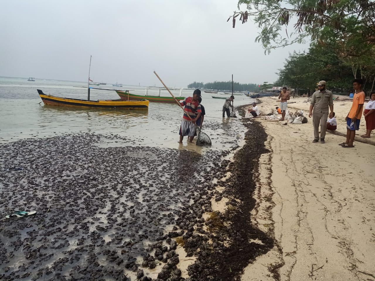 Minyak Mentah Kembali Cemari Lautan dan Pulau Pari, Menteri ESDM Harus Turun Tangan