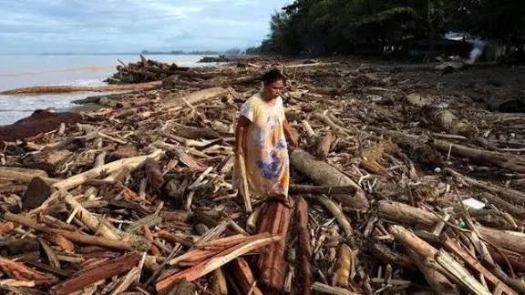 Satgas PKH Usut Kayu Gelondongan di Banjir Bandang Sumatera, TNI di Dalamnya
