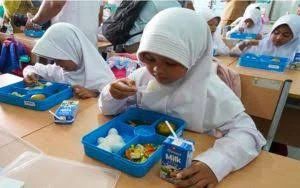 Upaya Penuhi Janji Makan Bergizi Gratis dan Harapan Masa Depan