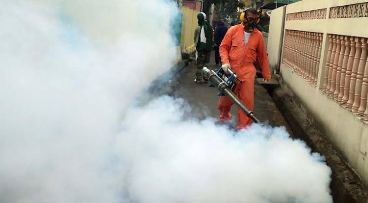 Di Bulan Januari 2019, Pemprov DKI Catat 813 Kasus DBD di Jakarta