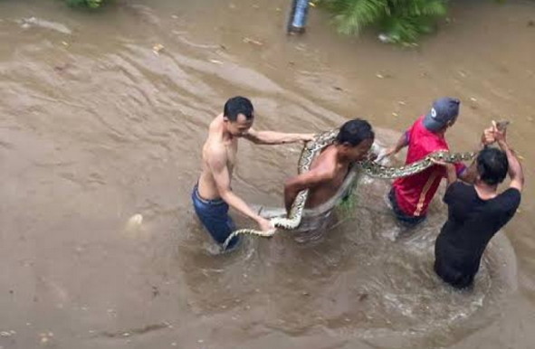 Dinas KPKP Jakarta Buka Klinik Hewan Keliling Gratis