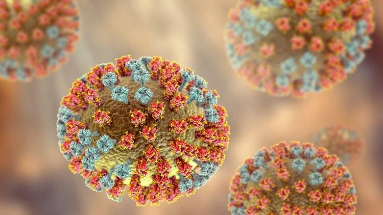 Sudah Heboh di Banyak Negara, Virus H3N2 Subclade K Belum Masuk Indonesia