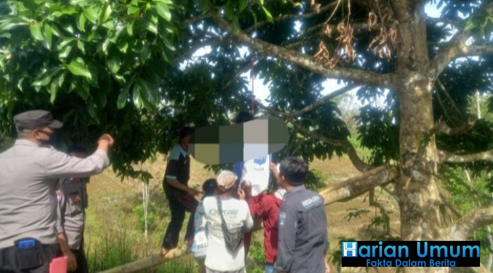 Warga Pekon Bandar Baru Tewas Gantung Diri Di Kebun Nya