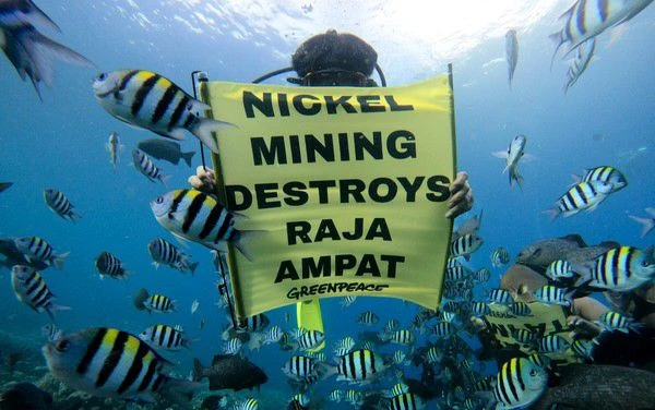 Greenpeace Minta Pemerintah Cabut Izin Penambangan Nikel di Raja Ampat
