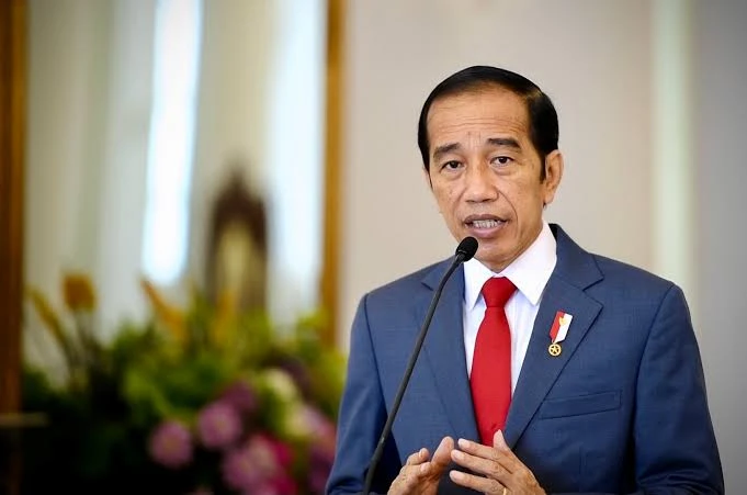 Jokowi Akui Pembangunan IKN Baru 20 Persen