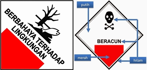 Limbah Beracun Tambang Freeport Cemari Sungai dan Hutan