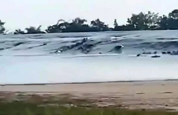 "Baby Volcano" di Grobogan Bergejolak Setelah Gempa Magnitudo 6,5 dari Tuban