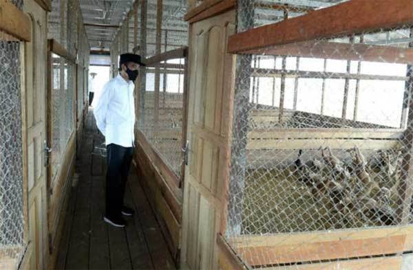 Bangun Budaya Membebek Sebelum Menjadi Bebek