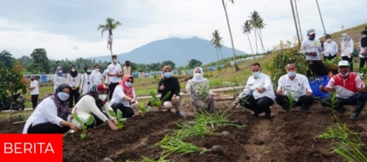 Bupati Tanam 150 Jenis Tanaman Toga Untuk Pengembangan Kebun Edukasi