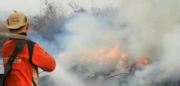 BMKG Deteksi 20 Titik Panas di Sumatera di Duga Kebakaran Hutan