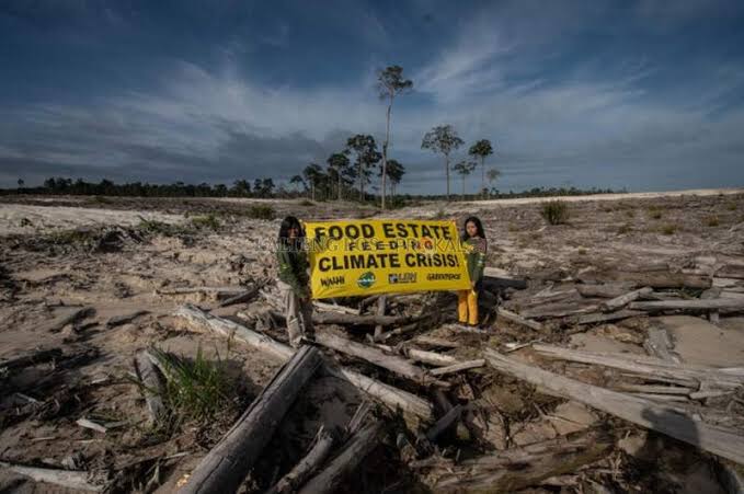 Soal Food Estate, Politisi PDIP dan Gerindra Perang Statemen