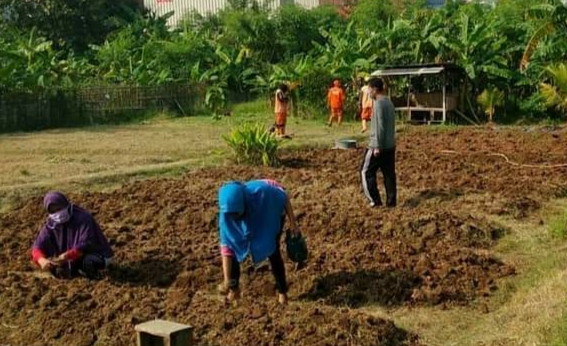Asyiknya Berkebun Di Pojok Utara Jakarta