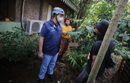 Awali Hari Peringatan Lingkungan Hidup, Gubernur Anies Tanam Bambu di Hutan Kota Sangga Buana