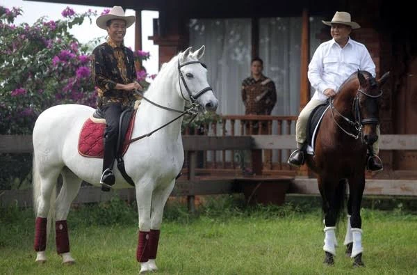 Prabowo Kuda Tunggangan?