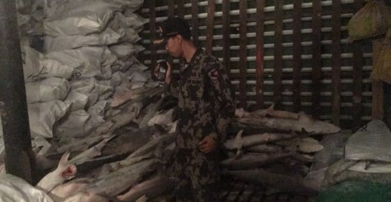Kapal Asing Fu Yuan Yu 831 ditangkap Saat Illegal Fishing