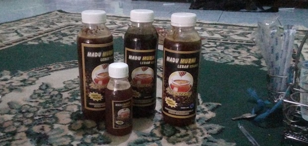 Madu Klanceng, Mother of Medicine Penyembuh Berbagai Penyakit