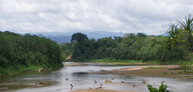 Suku Tsimane di Amazon Punya Jantung Paling Sehat di Dunia