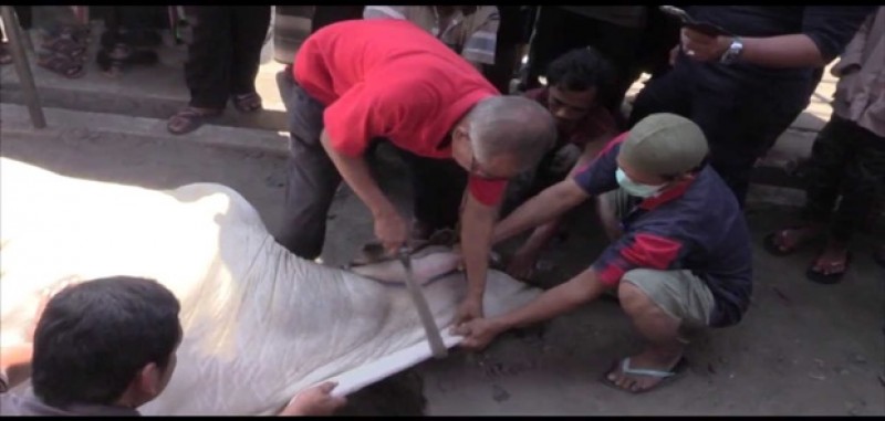 Menimbulkan Kanker Warga Diimbau Tidak Bungkus Daging dengan Kresek Hitam